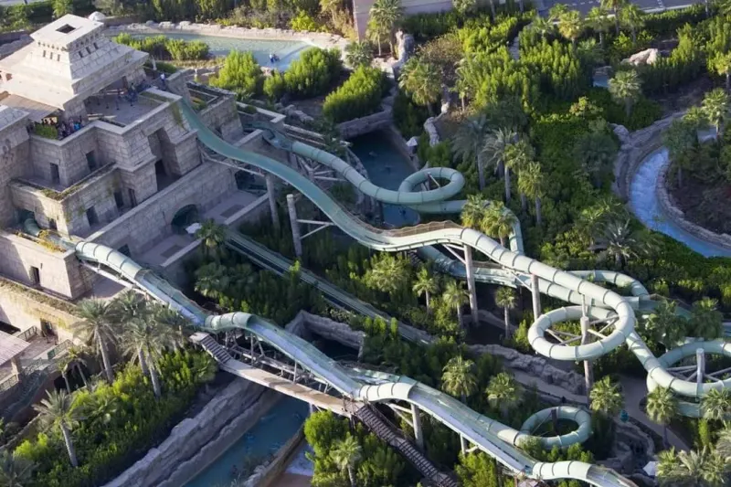 Water slides winding through the trees at Aquaventure, from above