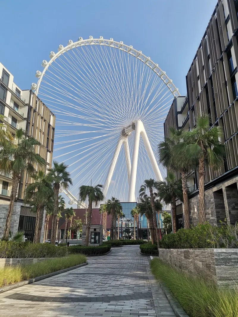 Ain Dubai seen from a walkway on Bluewaters Island