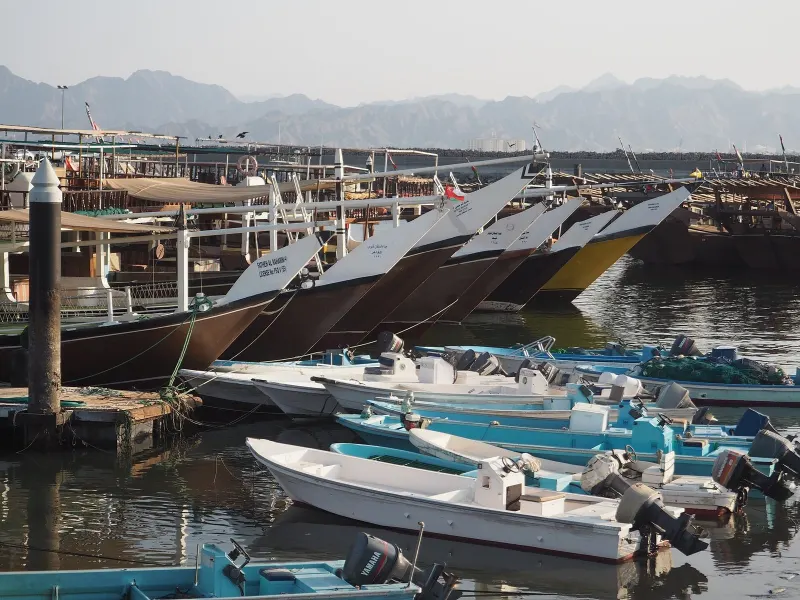 Dhows and fishing boats in Dibba harbour below the mountains