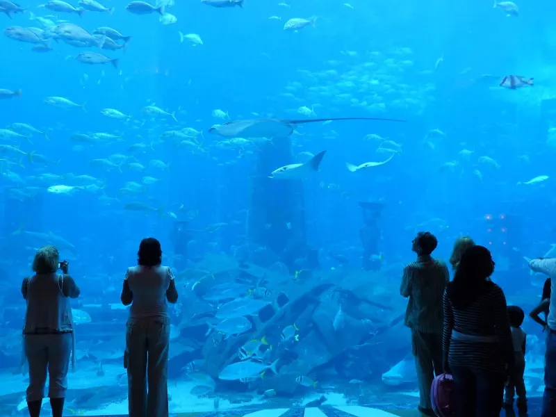 Visitors at the great window of The Lost Chambers Aquarium, Atlantis The Palm