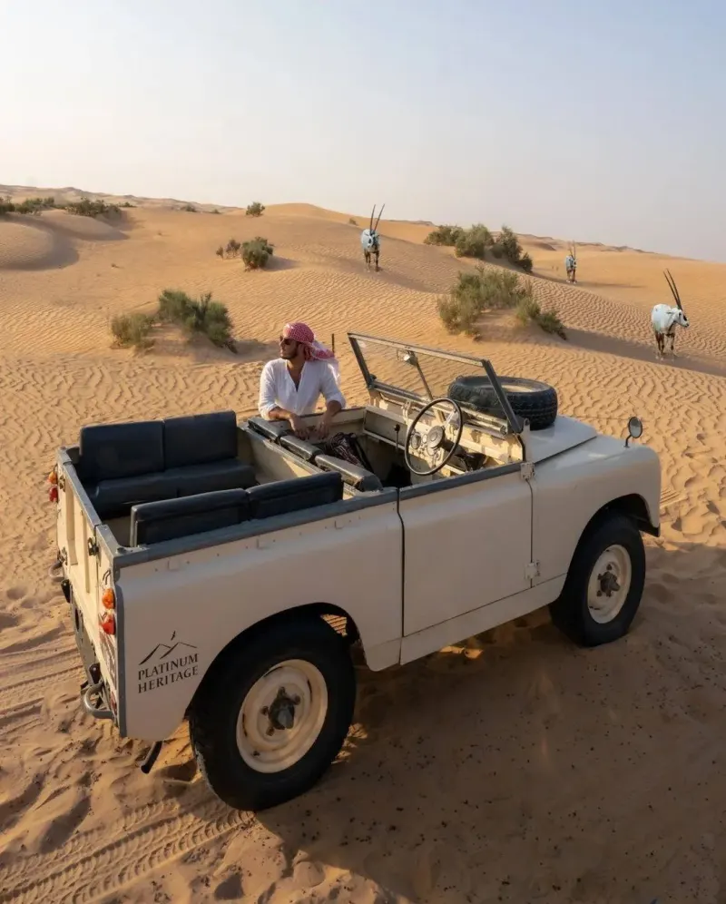 Vintage Land Rover in the dunes with Arabian oryx behind