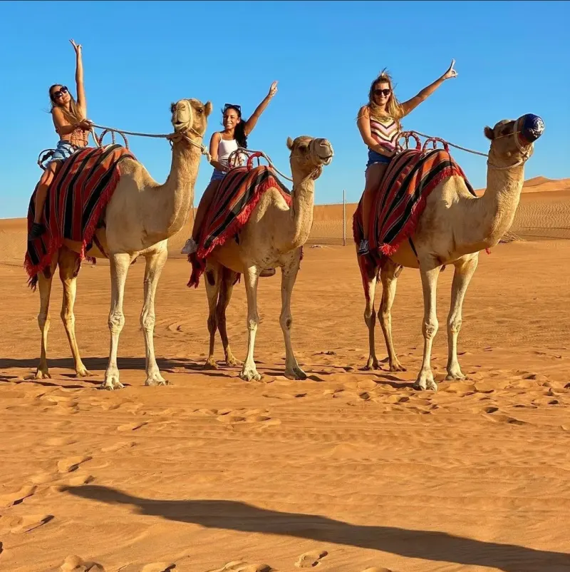 Three visitors riding camels in the desert