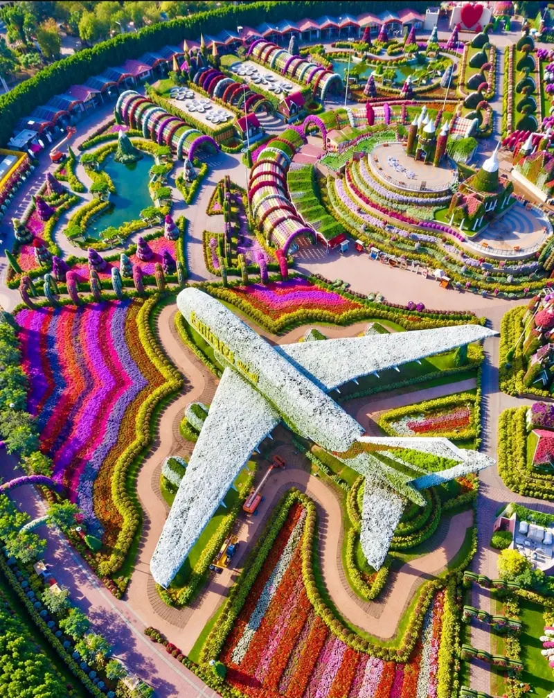 Dubai Miracle Garden and its flower A380 seen from above