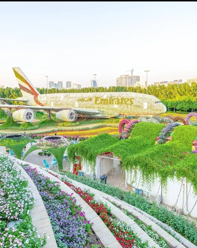 Flower terraces in front of the Emirates A380 at Dubai Miracle Garden