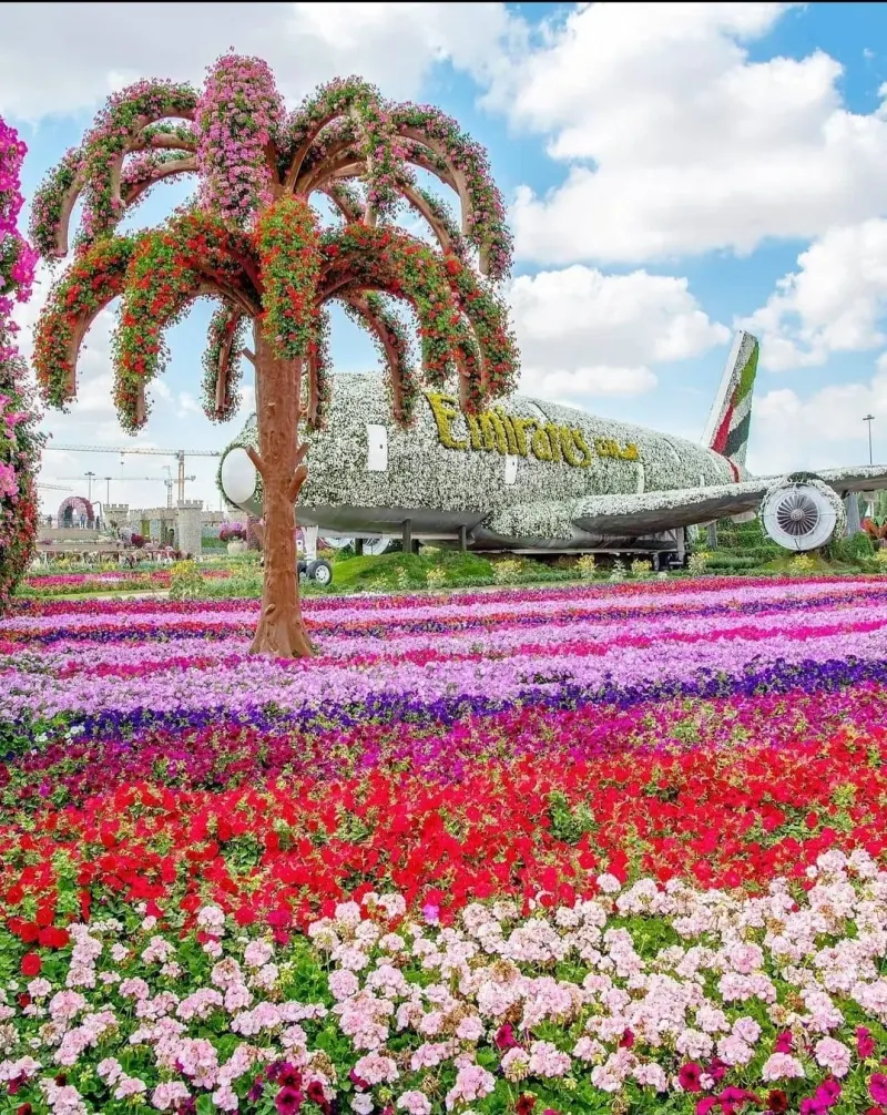 Flower palm and the flower-covered Emirates A380 at Dubai Miracle Garden